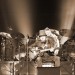 Zucchero a Jesolo Aldredo Lando 2
