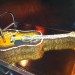 Hard Rock Café 03