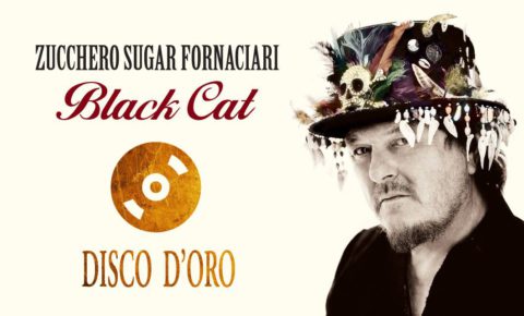 Black Cat Gold Disc
