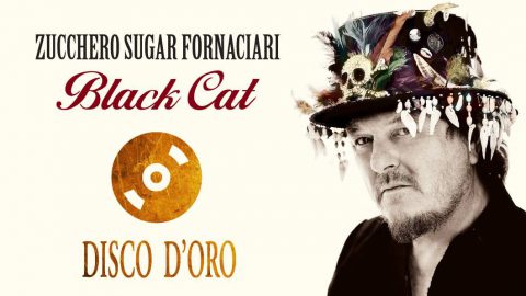 Black Cat Disco D’Oro!